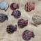 Craft Supplies9 PCs Smaller Size Pecten Shellgood For Collection 2