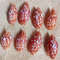 Craft SuppliesMitra Stictica8 PCs Shellsgood For Crafting 0