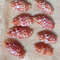 Craft SuppliesMitra Stictica8 PCs Shellsgood For Crafting 1