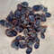 Craft Suppliesseashell Murex Opecolum100 PCs Opercolumvery Good For Craftingsize 2022 Mm 0