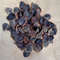Craft Suppliesseashell Murex Opecolum100 PCs Opercolumvery Good For Craftingsize 2022 Mm 1