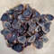 Craft Suppliesseashell Murex Opecolum100 PCs Opercolumvery Good For Craftingsize 2022 Mm 3