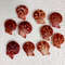 Crafts Supplies10 PCs Pecten Senatorialsize 2428 Mm10 PCs Shells 0