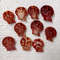 Crafts Supplies10 PCs Pecten Senatorialsize 2428 Mm10 PCs Shells 1