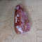 Collectibles Conus Floccatus Shellsize 55 Mmitem A2 6