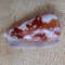 Collectibles Conus Floccatus Shellsize 55 Mmitem A2 7