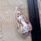 Collectibles Conus Floccatus Shellsize 50 Mmvery Good Conditionitem A5 4
