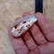 Collectibles Conus Floccatus Shellsize 50 Mmvery Good Conditionitem A5 6