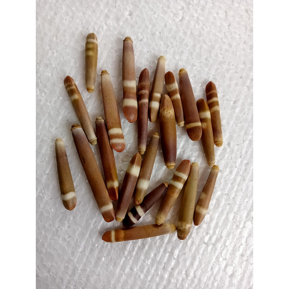 Crafts Supplies21 PCs Sea Urchin Spineslend 4050 Mmvery Nice 2