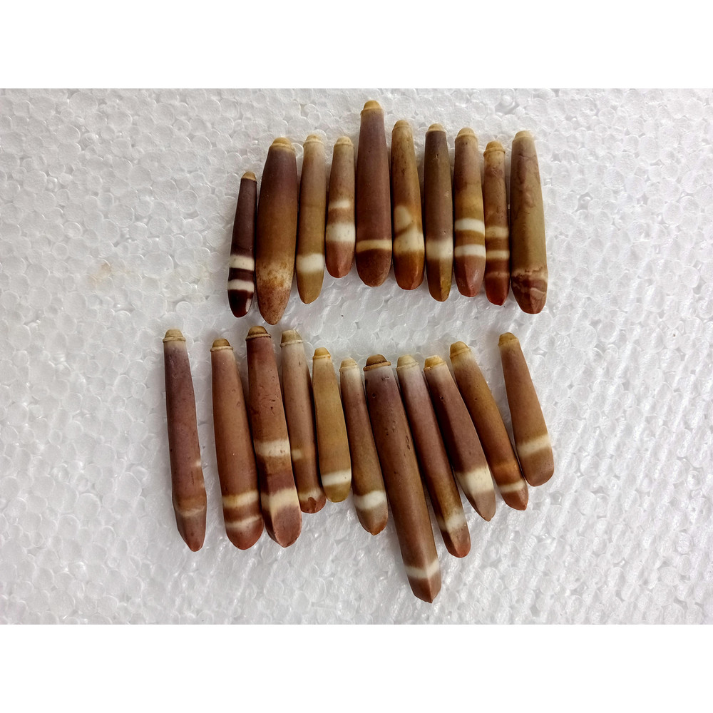 Crafts Supplies21 PCs Sea Urchin Spineslend 4050 Mmvery Nice 3