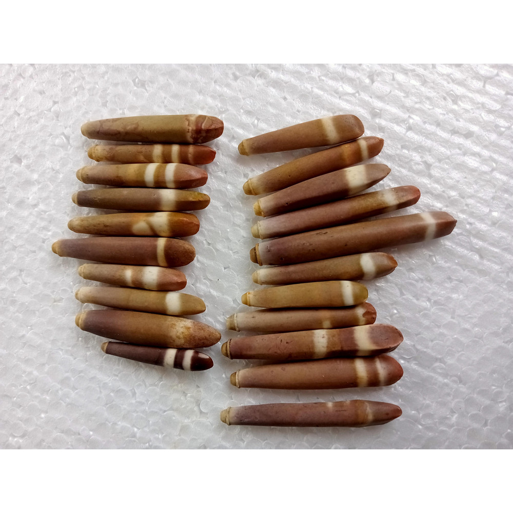 Crafts Supplies21 PCs Sea Urchin Spineslend 4050 Mmvery Nice 4