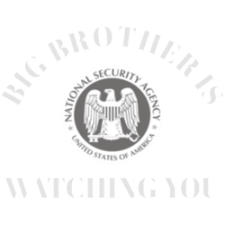 big brother is watching nsa surveillance