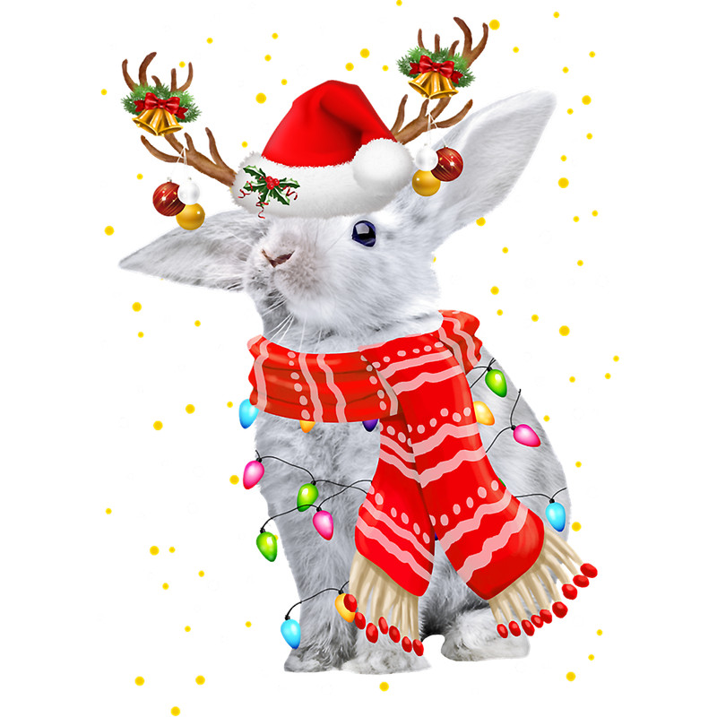 First Day Of Rabbit Reindeer Christmas Ligh Years Old Birthday.png