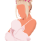 Doja Cat Pink Roses.png