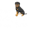 Rottweiler mom quote best dog mom ever.png