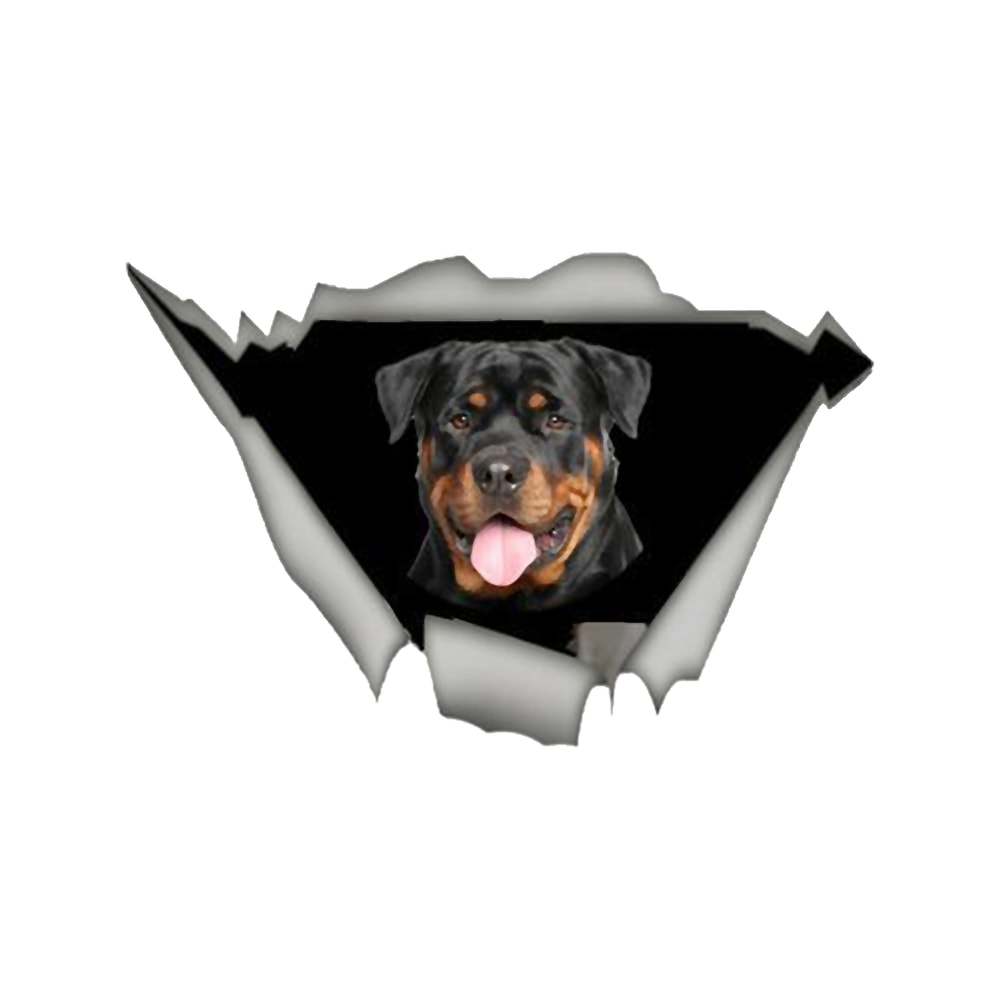 rottweiler-cute giftrottweiler for mom,dad,women and men .png