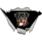 rottweiler-cute giftrottweiler for mom,dad,women and men .png