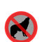 Your Dog_s Barking Isn_t Cute, It_s Annoying.png