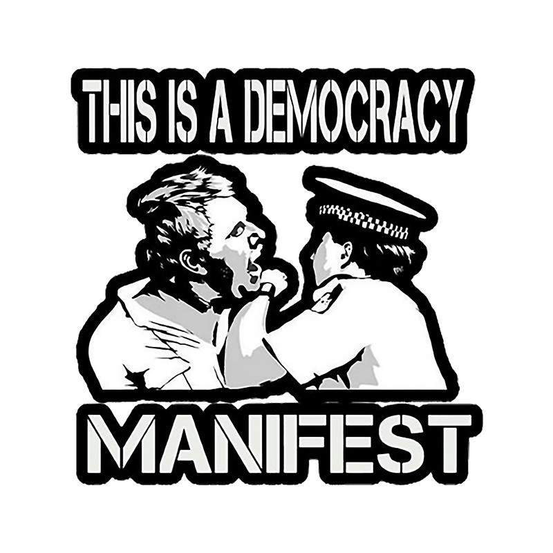 Democracy manifesto(4).png