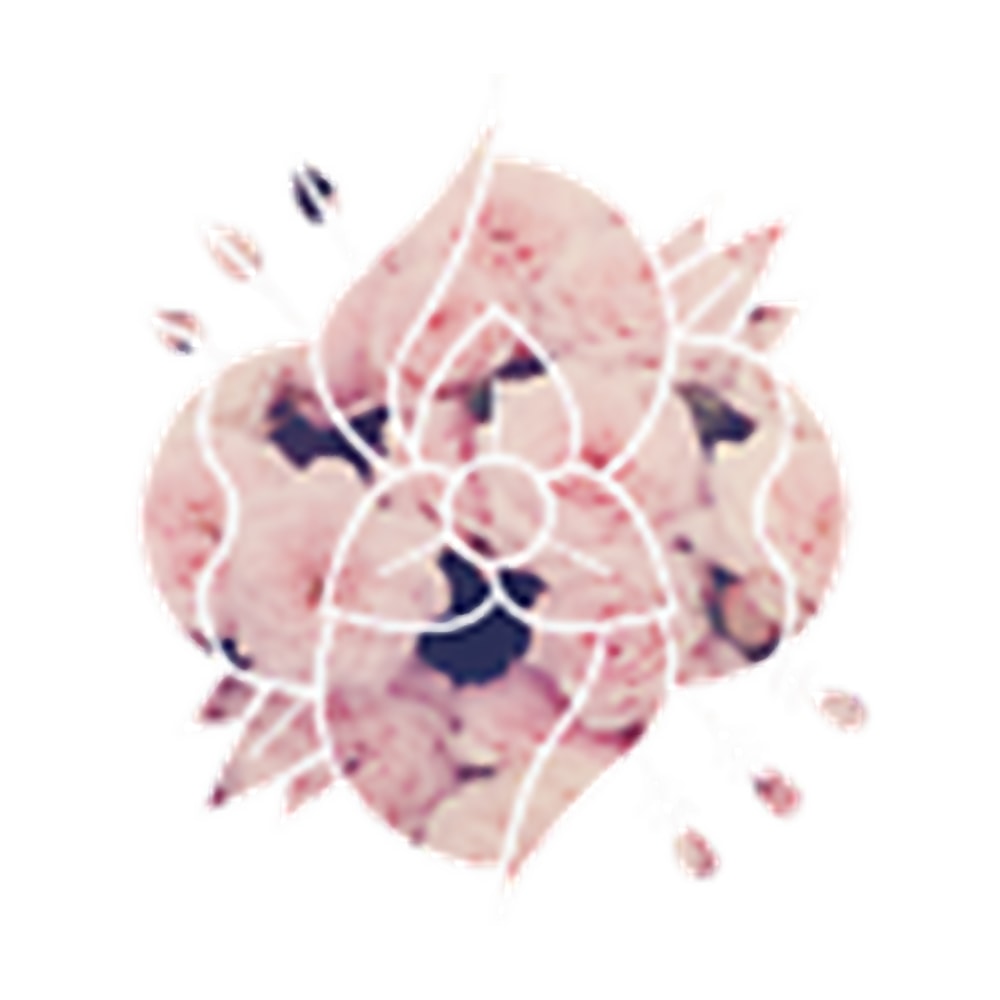 La Dispute Flower.png