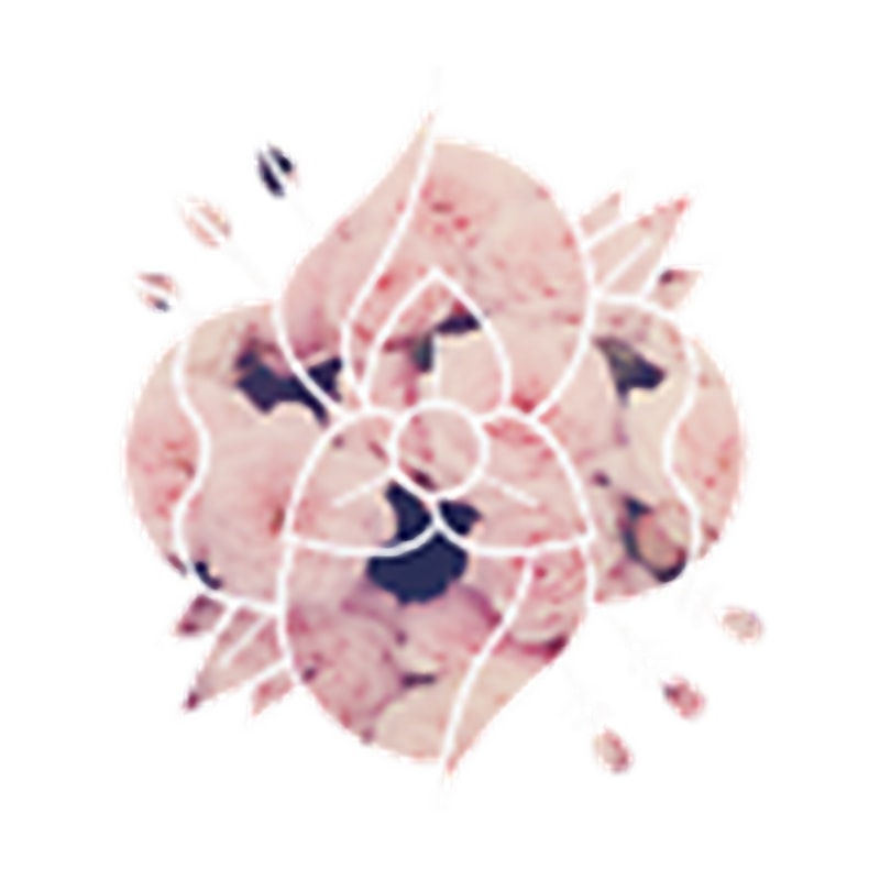 La Dispute Flower.png