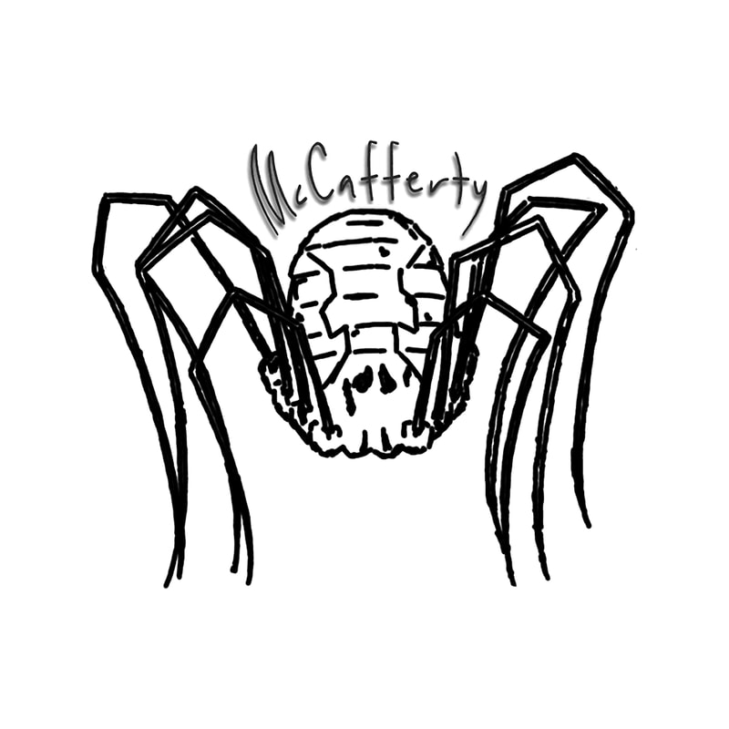 Mccafferty Daddy Long Legs.png
