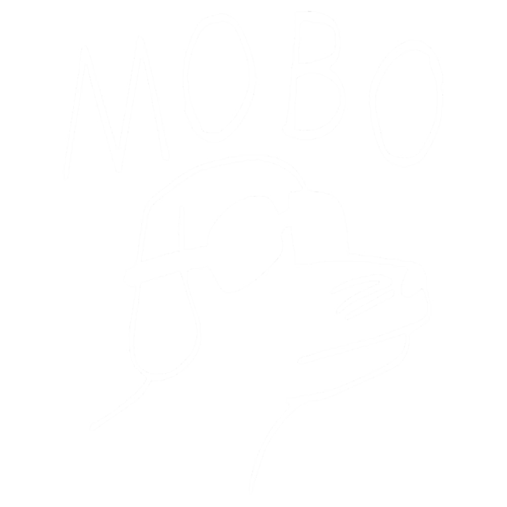 modern baseball (9).png