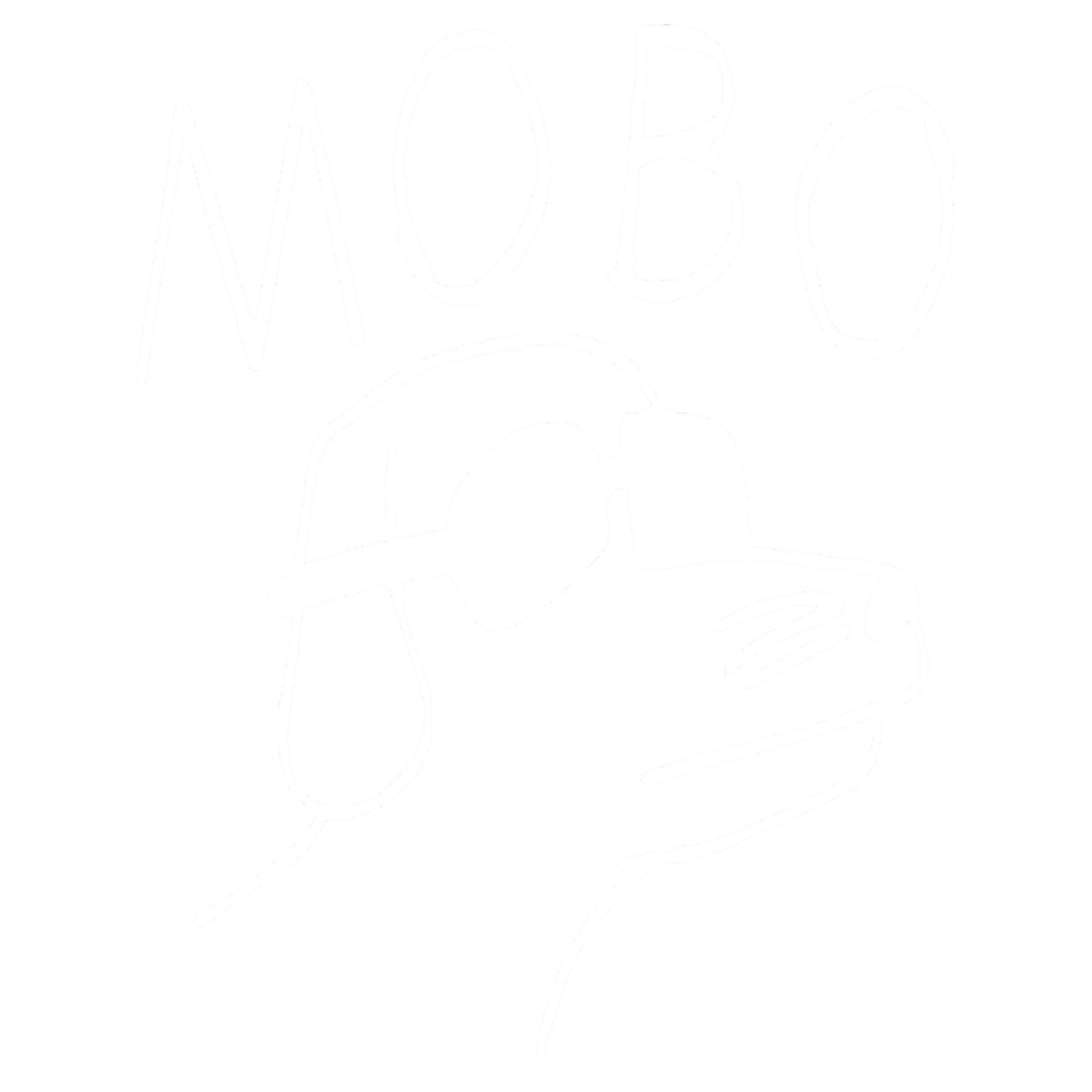 modern baseball(22).png