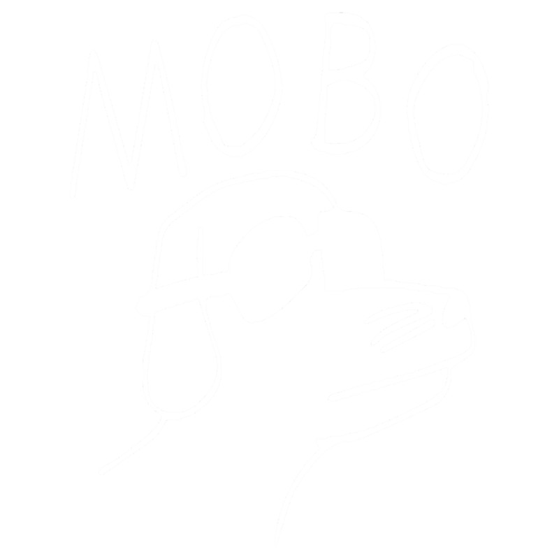 modern baseball(22).png