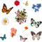 flowers and butterfliespack.png