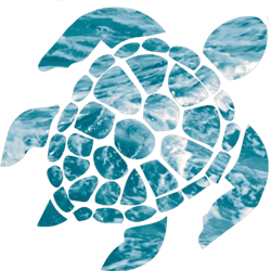 ocean sea turtle