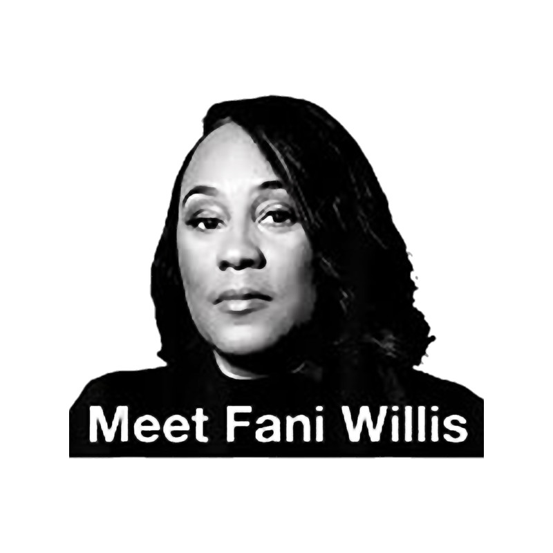 Meet Fani Willis .png