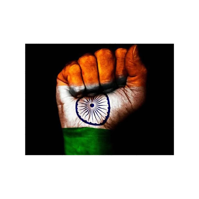 indian freedom fighter (1).png