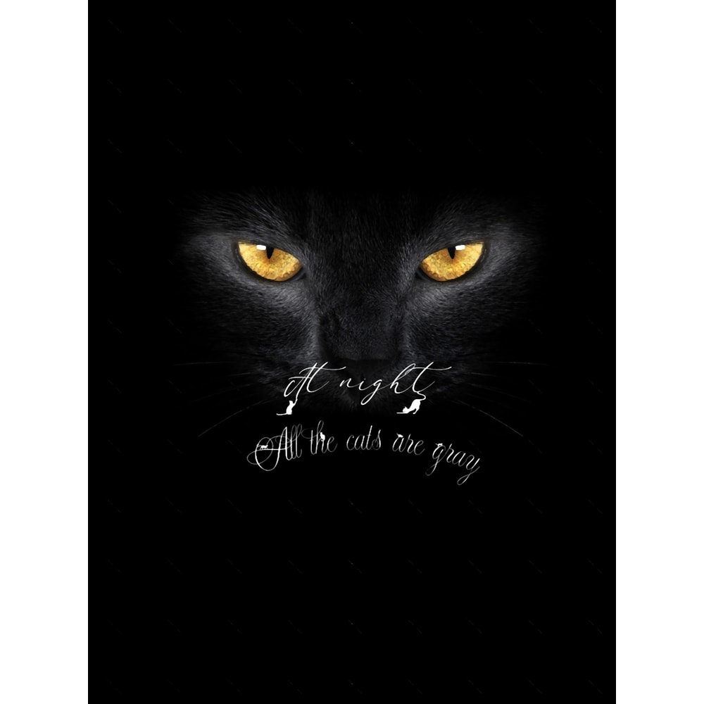 At night, all the cats are gray Graphic .png