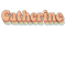 Catherine - Custom Aesthetic Trendy Name.png
