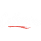 Catherine name gift(1).png