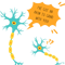 An Axon to Grind Neuron Neuroscience Puns Funny Science JokesClassic .png