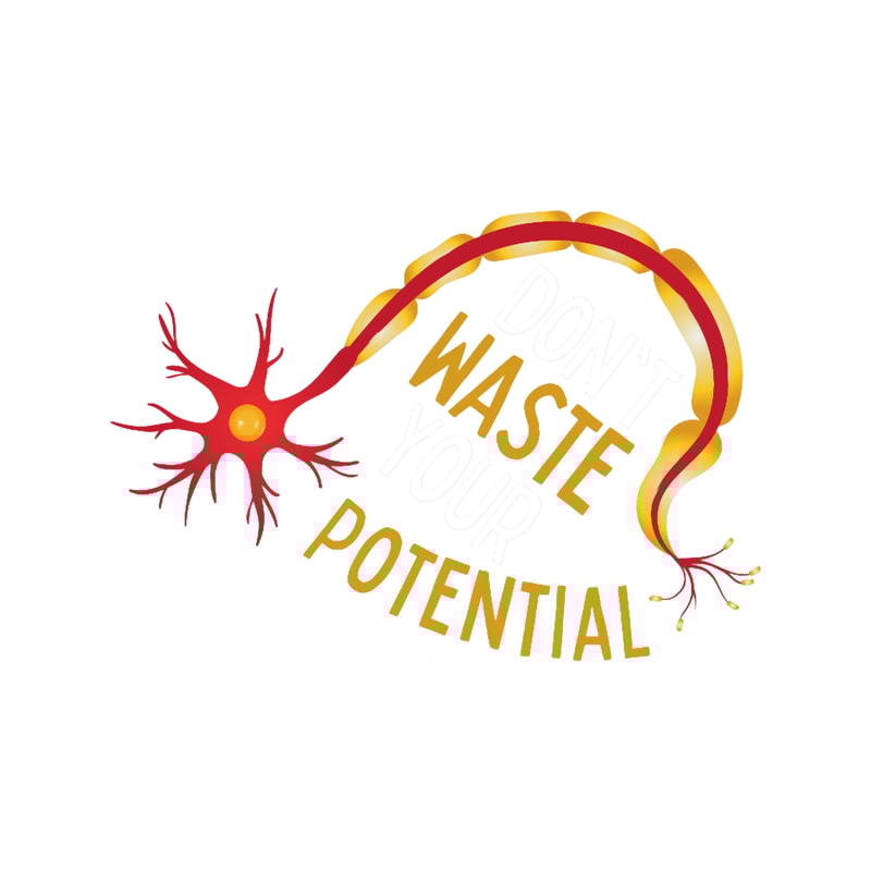 Don_t Waste Your Potential.png