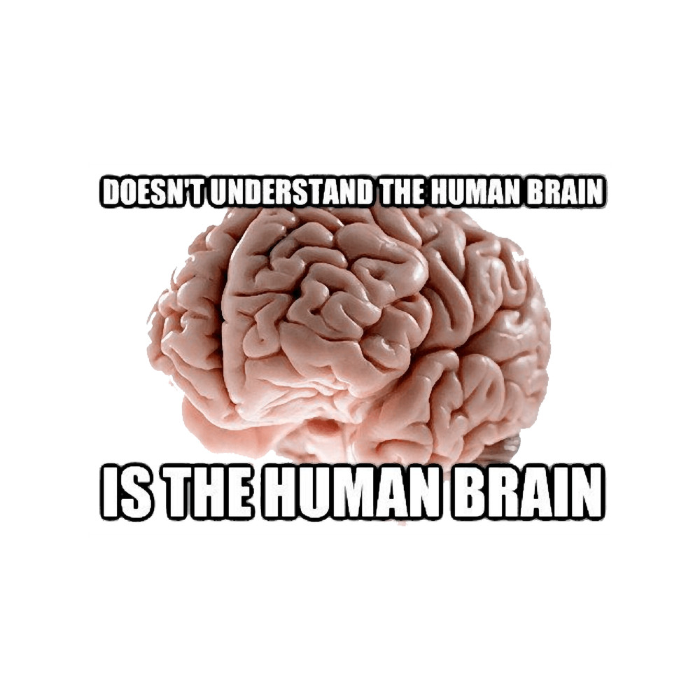 Human Brain Meme .png