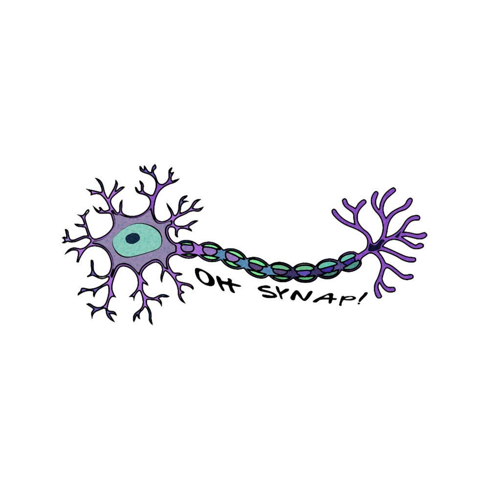 Neuron Oh SYNAP! (Oh snap!) .png