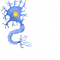 Neuron, Don_t Waste Your Potential(2).png