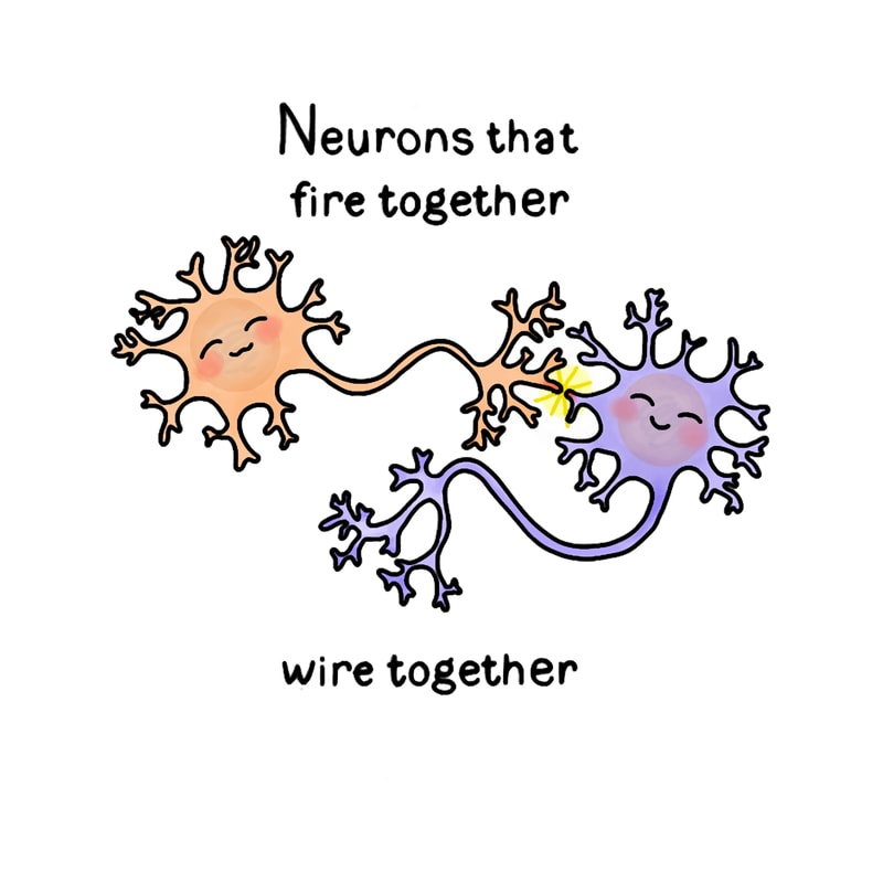 Neurons (1).png