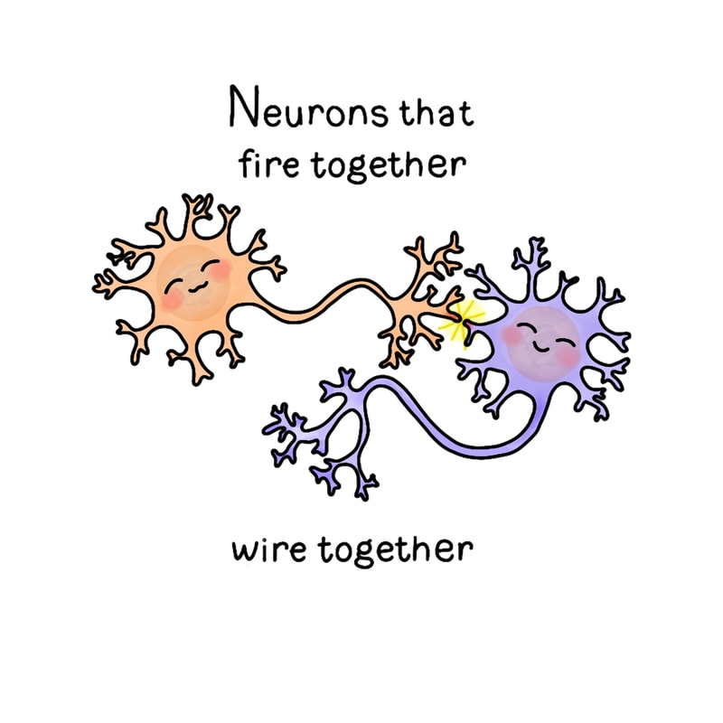 Neurons.png
