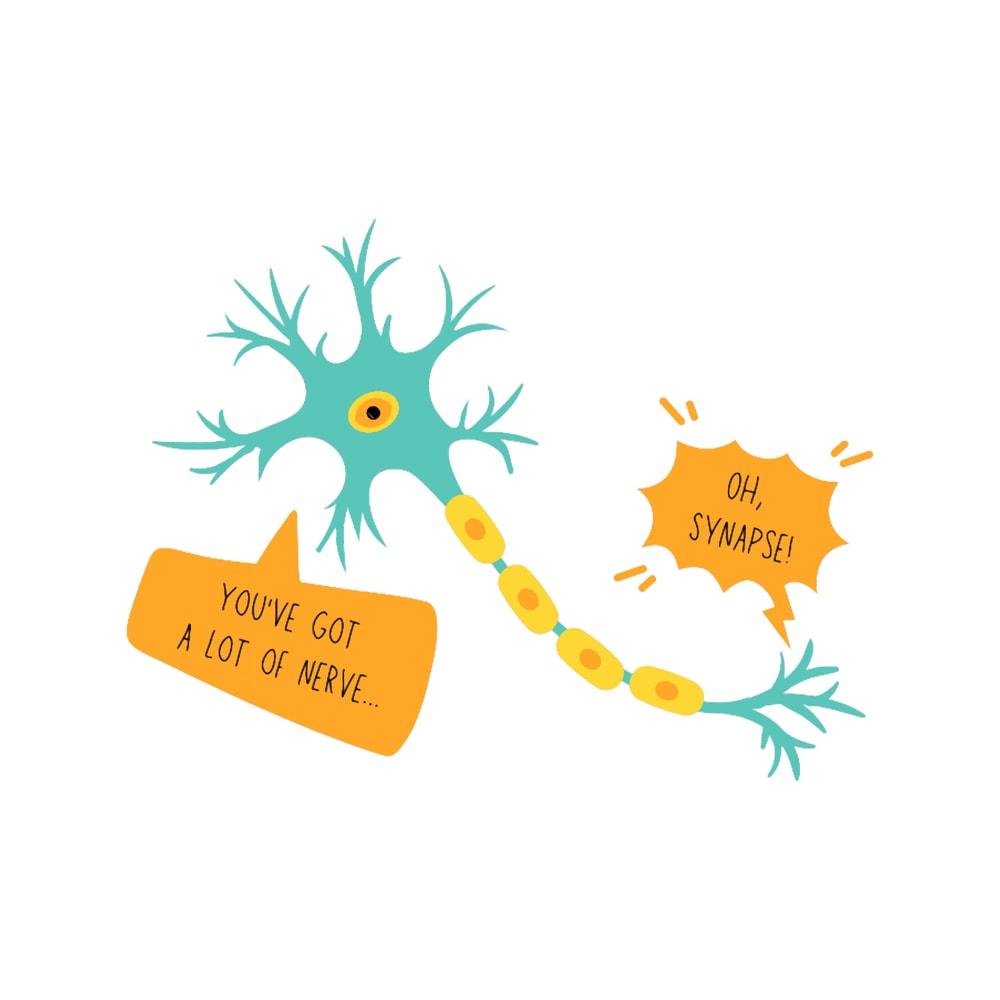 Oh Synapse Neuron Neuroscience Puns Funny Science Jokes .png