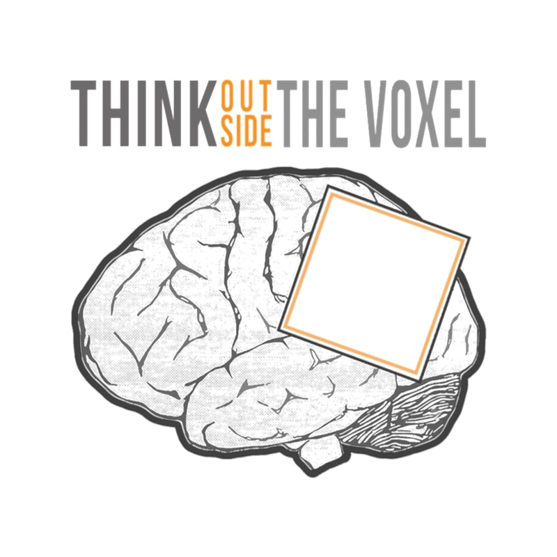 Think Outside the Voxel.png