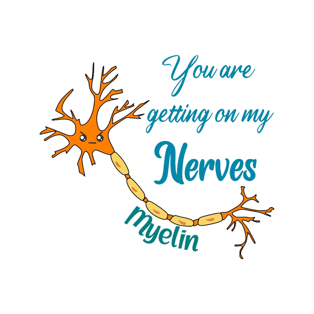 You are getting on my Nerves Myelin.png