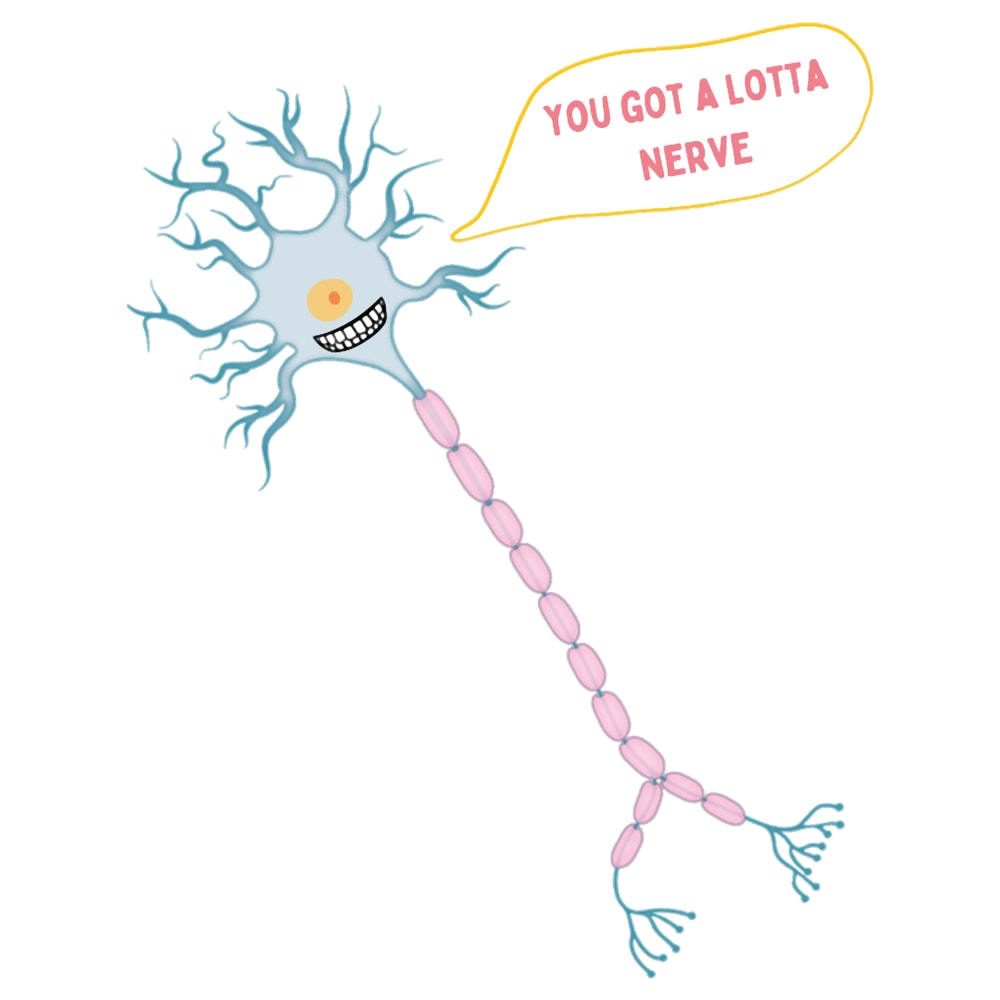 You Got A Lotta Nerve- Neuron.png