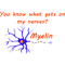You know what gets on my nerves Myelin.png