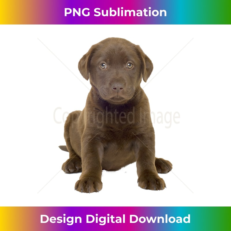 Chocolate Lab Puppy - Premium PNG Sublimation File