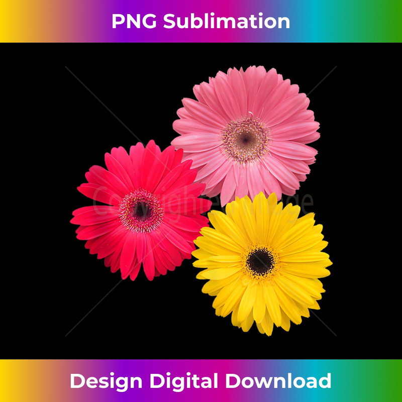 blooming gerbera flower, daisies, gerberas, daisy, flowery, - Instant Sublimation Digital Download